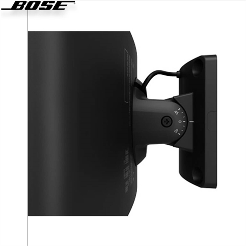 Loa Bose FreeSpace DS 40SE 17